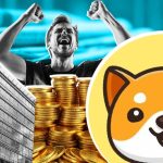 آپدیت Baby Doge: همکاری با Binance برای Airdrop و ورود به بازار املاک و مستغلات