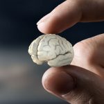 ضعیف شدن حافظه از علائم کمبود این ویتامین است