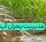 احتمال تعطیلی یک روز در هفته تهران به دلیل بحران آب !