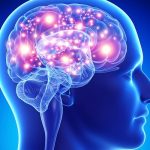 چند خوراکی مفید برای تقویت مغز و حافظه