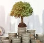 آمار نهادهای مالی بازار سرمایه ایران به ۱۲۵۵ رسید/ سهم صندوق ها