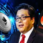 سقوط کریپتو: توطئه بازارسازان یا فرصت طلایی؟ تام لی پیش‌ بینی بازگشت پس از شکرگزاری