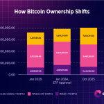 توزیع مالکیت بیت کوین: ETFها بازار را دگرگون کردند