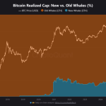 بیت کوین در آستانه یک گذار ساختاری؛ داده‌های آنچین چه می‌گویند؟